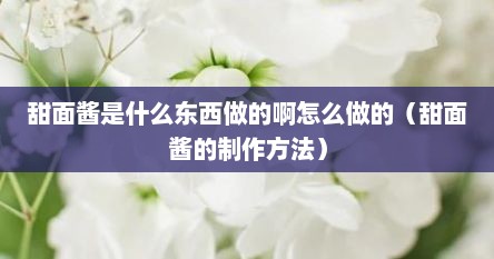 甜面酱是什么东西做的啊怎么做的（甜面酱的制作方法）