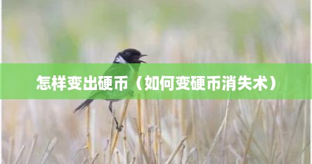 怎样变出硬币（如何变硬币消失术）
