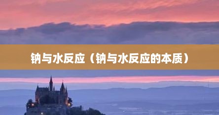 钠与水反应（钠与水反应的本质）