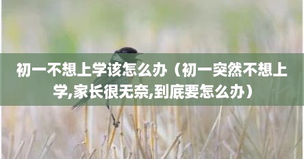 初一不想上学该怎么办（初一突然不想上学,家长很无奈,到底要怎么办）
