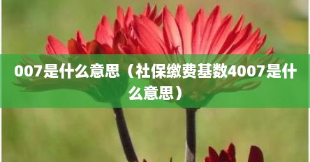 007是什么意思（社保缴费基数4007是什么意思）