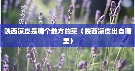 陕西凉皮是哪个地方的菜（陕西凉皮出自哪里）