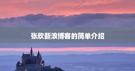 张欣新浪博客的简单介绍
