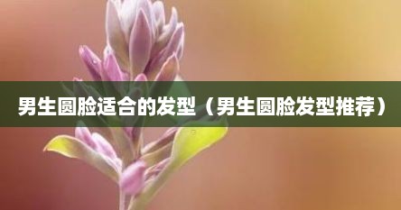 男生圆脸适合的发型（男生圆脸发型推荐）