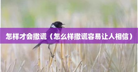 怎样才会撒谎（怎么样撒谎容易让人相信）