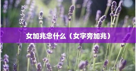 女加兆念什么（女字旁加兆）