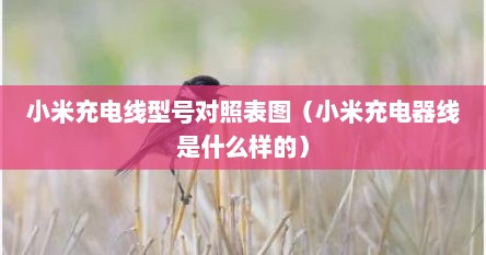 小米充电线型号对照表图（小米充电器线是什么样的）