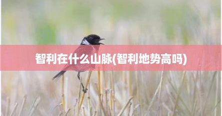 智利在什么山脉(智利地势高吗)