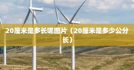 20厘米是多长呢图片（20厘米是多少公分长）