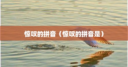 惊叹的拼音（惊叹的拼音是）