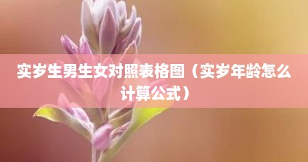 实岁生男生女对照表格图（实岁年龄怎么计算公式）