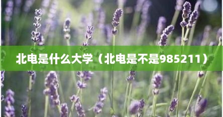 北电是什么大学（北电是不是985211）