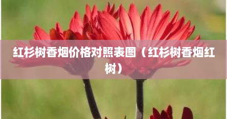 红杉树香烟价格对照表图（红杉树香烟红树）