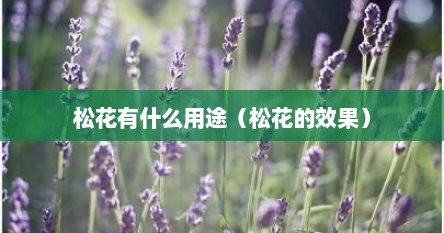 松花作用与药效（松花有什么功效和作用）