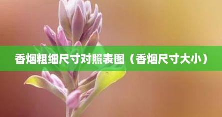 香烟粗细尺寸对照表图（香烟尺寸大小）