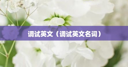 调试英文（调试英文名词）