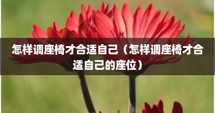 怎样调座椅才合适自己（怎样调座椅才合适自己的座位）