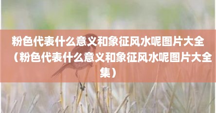 粉色代表什么意义和象征风水呢图片大全（粉色代表什么意义和象征风水呢图片大全集）