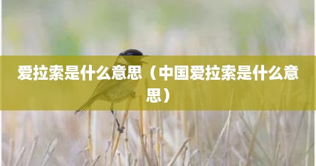 爱拉索是什么意思（中国爱拉索是什么意思）