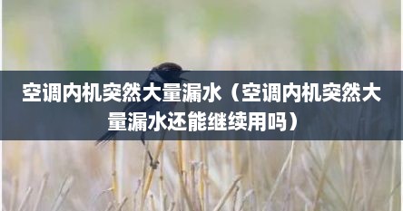 空调内机突然大量漏水（空调内机突然大量漏水还能继续用吗）