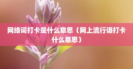 网络词打卡是什么意思（网上流行语打卡什么意思）