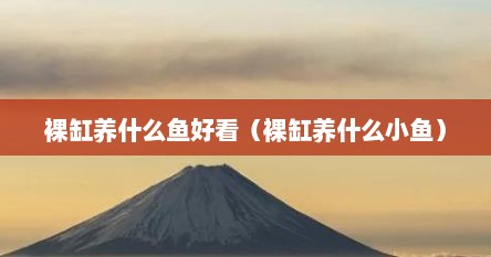 裸缸养什么鱼好看（裸缸养什么小鱼）