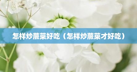 怎样炒蕨菜好吃（怎样炒蕨菜才好吃）