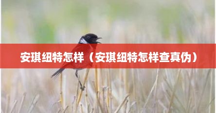 安琪纽特怎样（安琪纽特怎样查真伪）