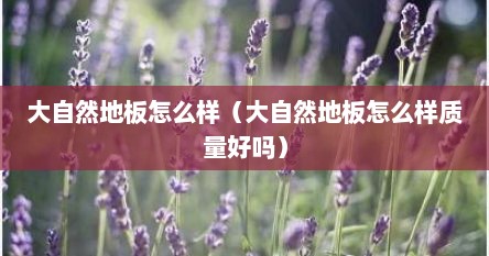 大自然地板质量怎么样（大自然木门与大自然地板是一家吗）