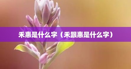 禾惠是什么字（禾跟惠是什么字）