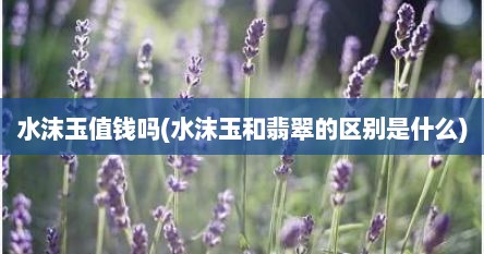 水沫玉值钱吗(水沫玉和翡翠的区别是什么)