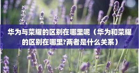 华为与荣耀的区别在哪里呢（华为和荣耀的区别在哪里?两者是什么关系）