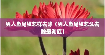 男人鱼尾纹怎样去除（男人鱼尾纹怎么去除最彻底）