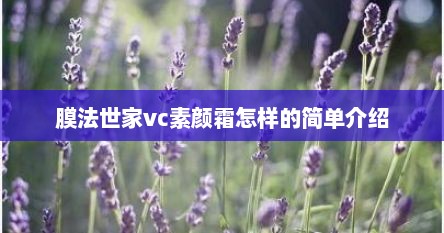 膜法世家vc素颜霜怎样的简单介绍