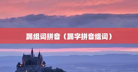 踢字组词（踢组词四字成语）