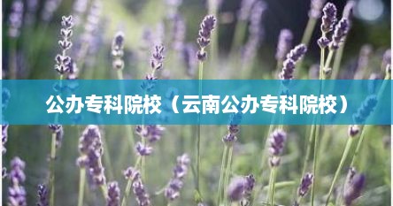 公办专科院校（云南公办专科院校）