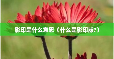 影印是什么意思（什么是影印版?）