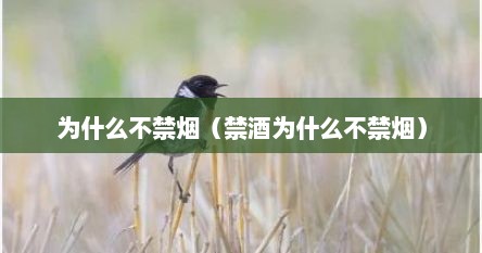 为什么不禁烟（禁酒为什么不禁烟）