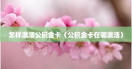 怎样激活公积金卡（公积金卡在哪激活）
