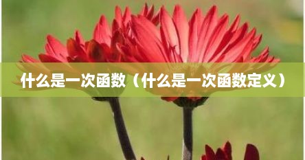 什么叫一次函数（什么是一次函数的性质）