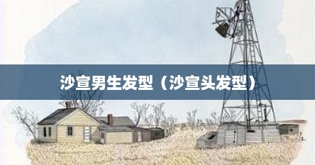 沙宣男生发型（沙宣头发型）