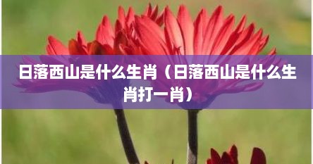 日落西山是什么生肖（日落西山是什么生肖打一肖）