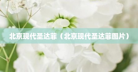 北京现代圣达菲（北京现代圣达菲图片）