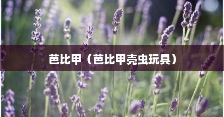 芭比甲（芭比甲壳虫玩具）