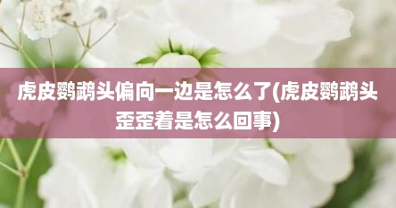 虎皮鹦鹉头偏向一边是怎么了(虎皮鹦鹉头歪歪着是怎么回事)