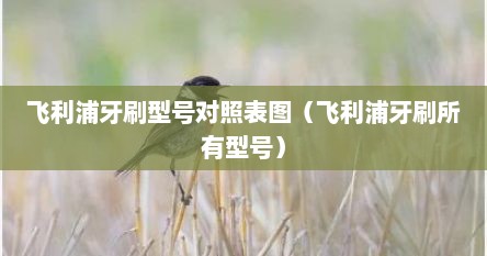 飞利浦牙刷型号对照表图（飞利浦牙刷所有型号）