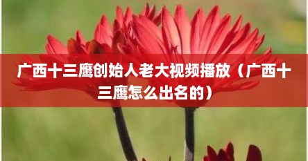 广西十三鹰创始人老大视频播放（广西十三鹰怎么出名的）