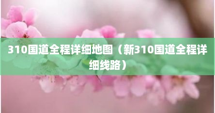 310国道全程详细地图（新310国道全程详细线路）
