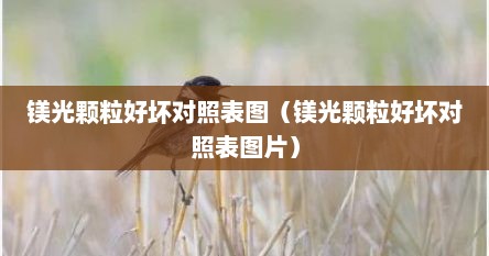 镁光颗粒好坏对照表图（镁光颗粒好坏对照表图片）