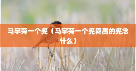 马字旁一个尧（马字旁一个尧舜禹的尧念什么）